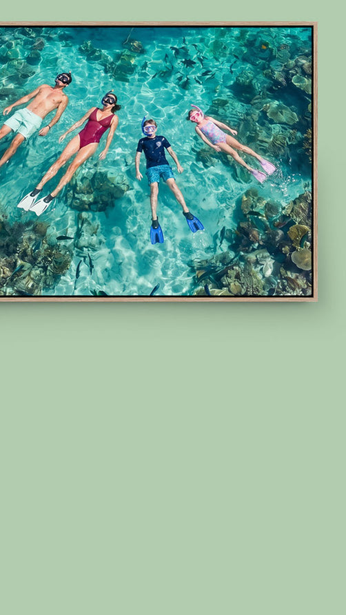 Framefox 15% off Everything Canvas