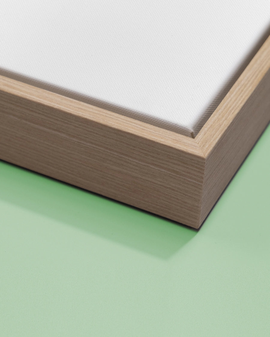 Blank Canvas & Frame