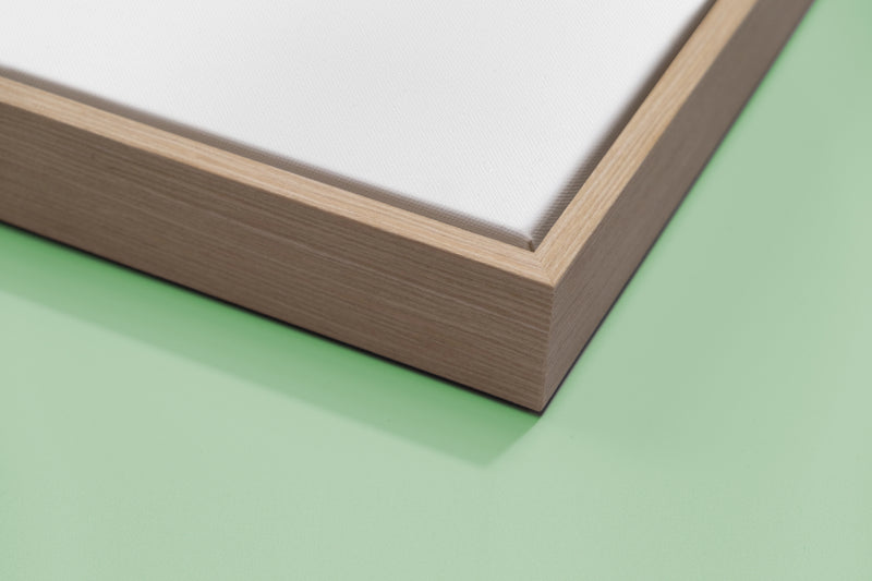 Blank Canvas & Frame
